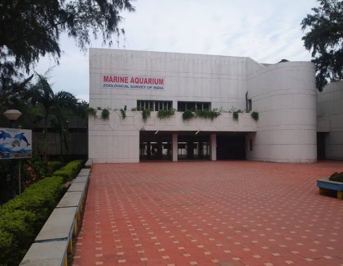 Marine Aquarium and Regional Centre, Purba Medinipur (East Medinipur), West Bengal - Vushii.com Marine Aquarium and Regional Centre, Purba Medinipur (East Medinipur), West Bengal - Vushii.com